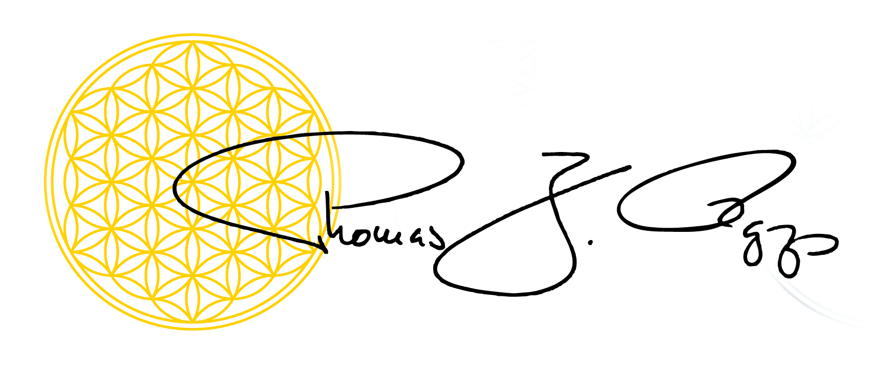 Das Buch Mach dein Licht an von Thomas J. Rapp